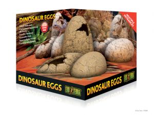 בית החיות נהריה - חנות חיות ומספרה דקורציה ומחסה לזוחלים ביצת דינוזאור אקזוטרה