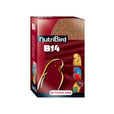 כופתיות לתוכים B14