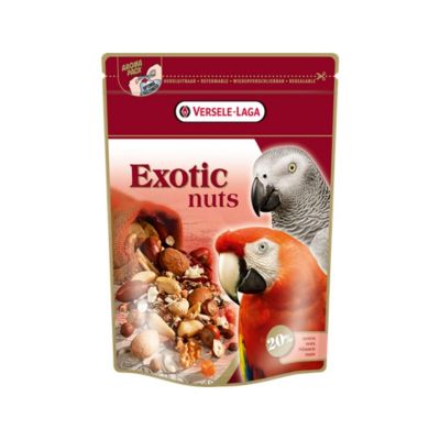 חטיף פירות איכותי לתוכים