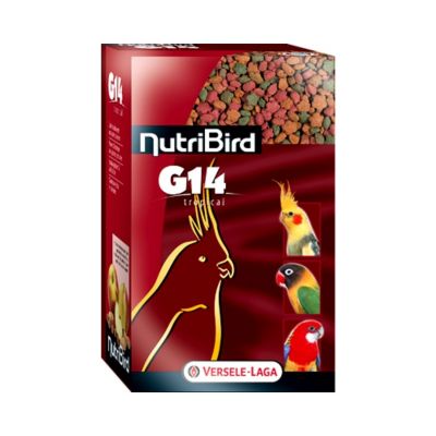 כופתיות לתוכים בינוניים